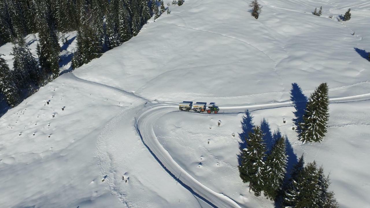 Ski In-Ski Out - Gaestehaeuser Saalbach-Hinterglemm - Wallegghof Christianhof 외부 사진